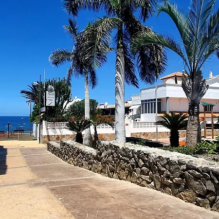 فيلة Casa Virgo